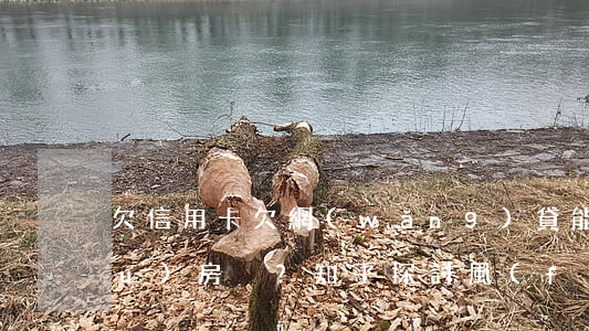 欠信用卡欠網(wǎng)貸能否購(gòu)房？知乎探討風(fēng)險(xiǎn)與可能性